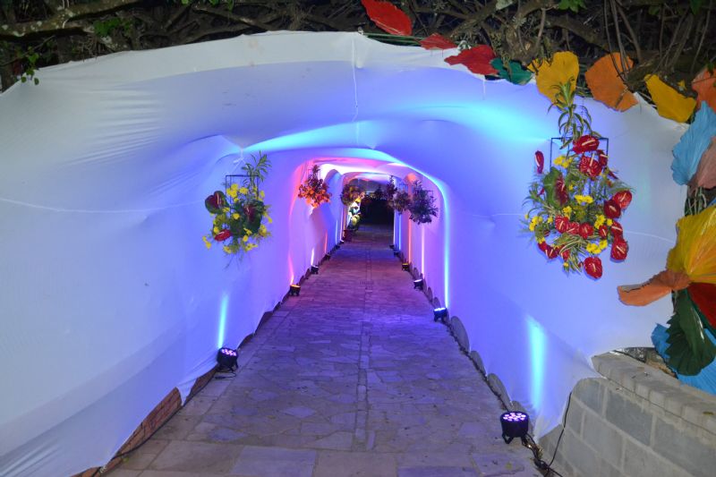 Baile do Hawaii 2023